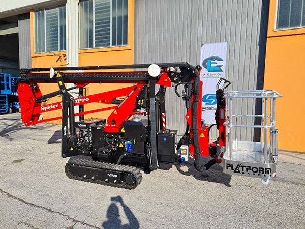 cingolata ragno nuova